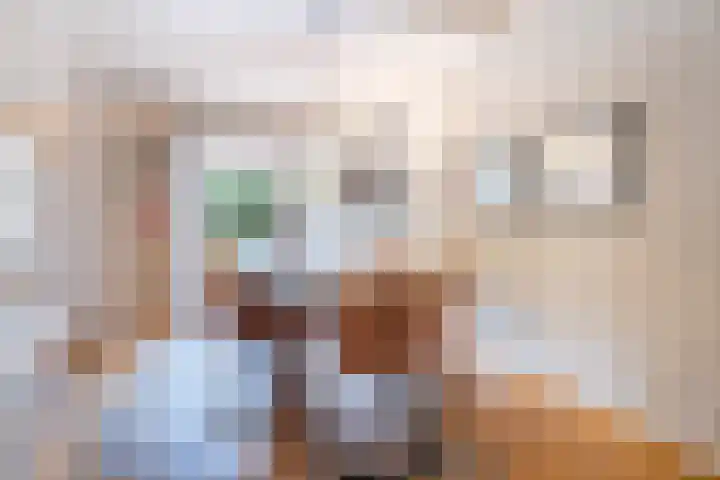 Lijndonk 97 Oosterhout thumbnail 10