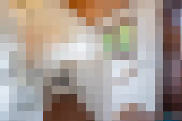 Lijndonk 97 Oosterhout thumbnail 14