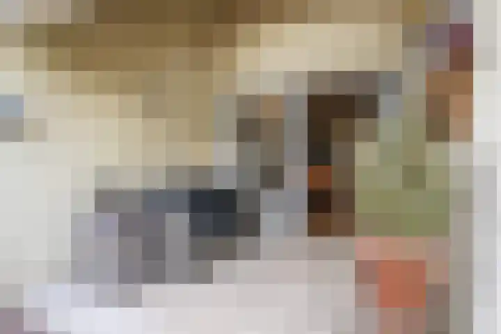 Lijndonk 97 Oosterhout thumbnail 16