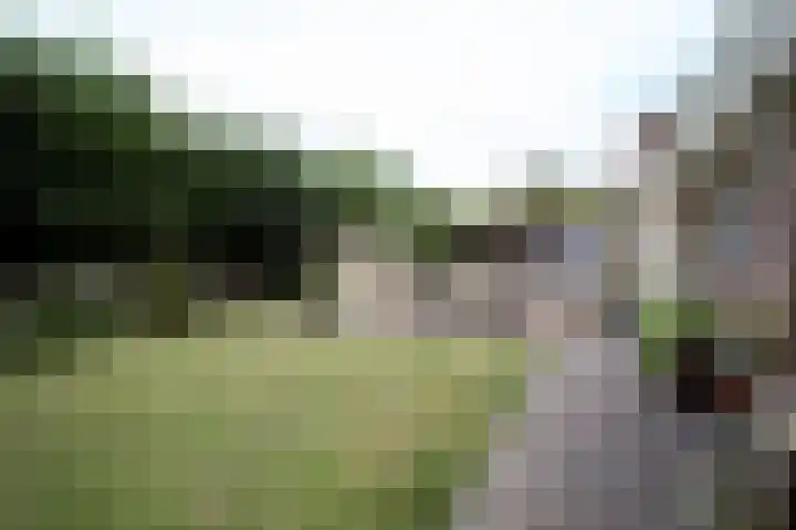 Lijndonk 97 Oosterhout thumbnail 21