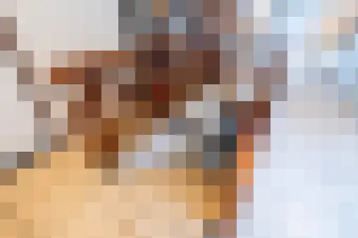 Lijndonk 97 Oosterhout thumbnail 23