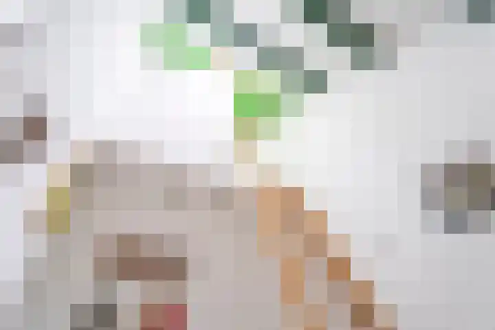 Lijndonk 97 Oosterhout thumbnail 27