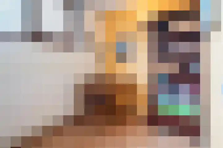 Lijndonk 97 Oosterhout thumbnail 30