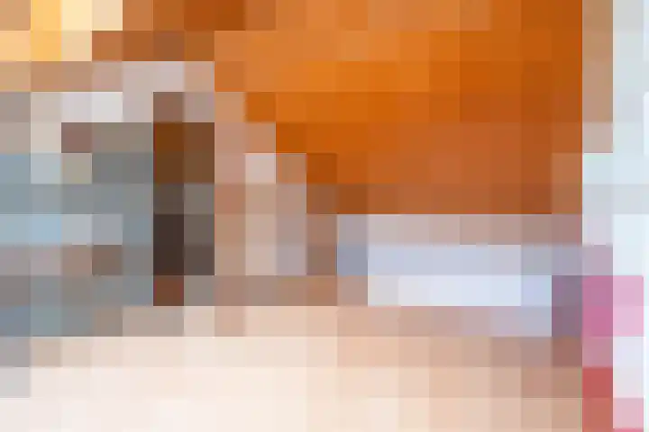 Lijndonk 97 Oosterhout thumbnail 37