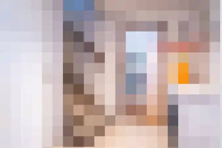 Lijndonk 97 Oosterhout thumbnail 5