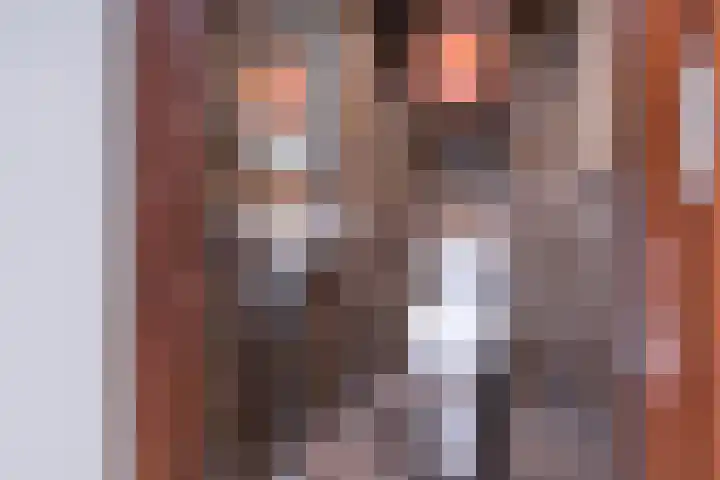 Lijndonk 97 Oosterhout thumbnail 6