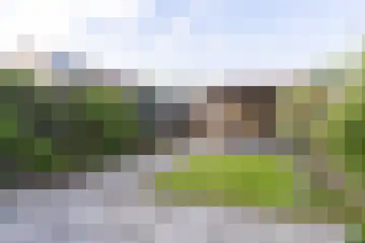 Lijndraaier 110 Hoorn thumbnail 35