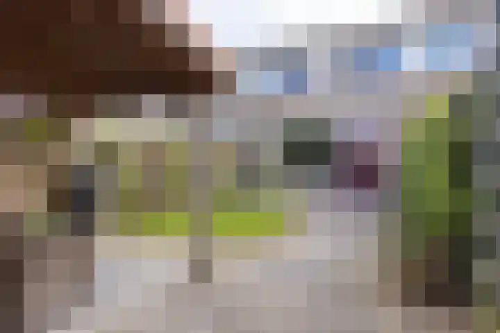 Lijndraaier 110 Hoorn thumbnail 36