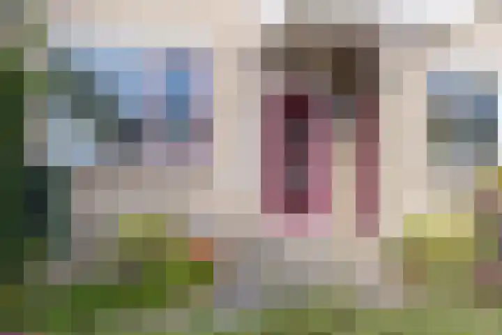 Lijndraaier 110 Hoorn thumbnail 9