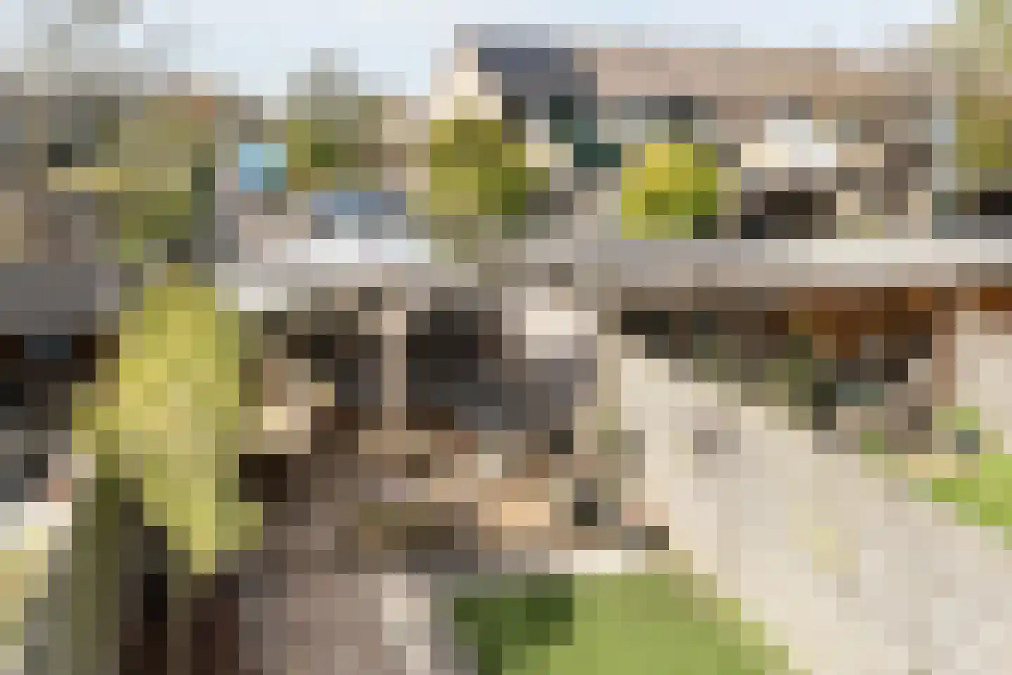 Lijndraaier 122 Hoorn thumbnail 19