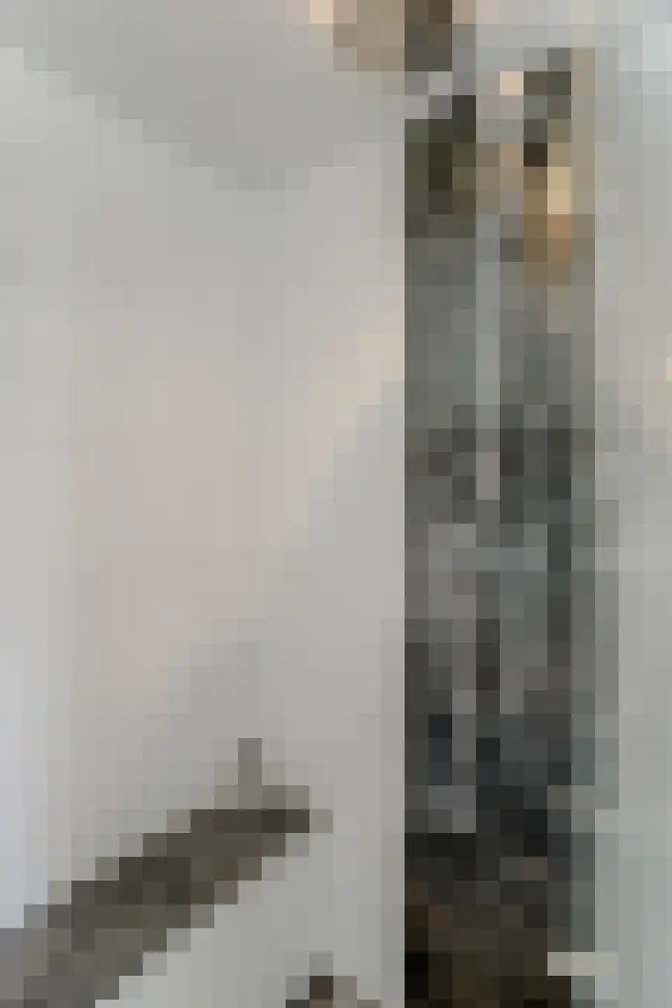 Lijndraaier 122 Hoorn thumbnail 33