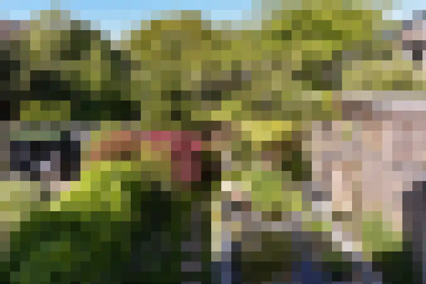 Lijndraaier 127 Hoorn thumbnail 22