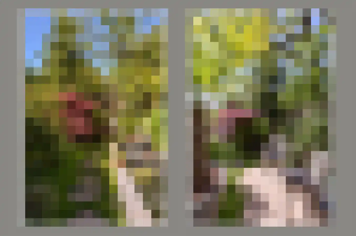 Lijndraaier 127 Hoorn thumbnail 26