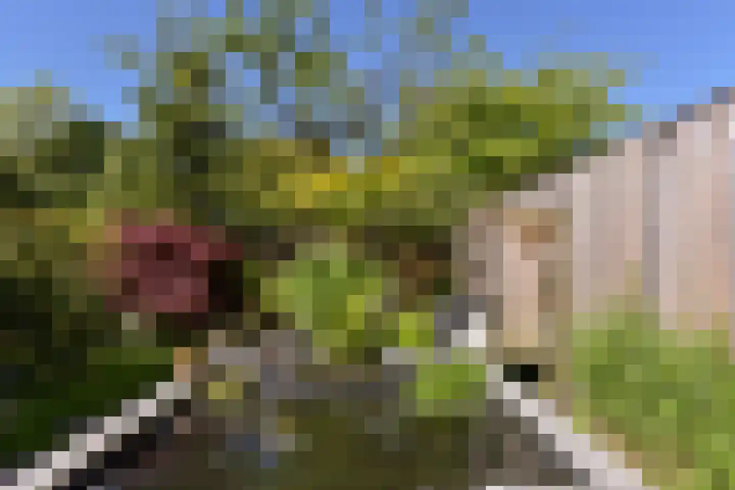 Lijndraaier 127 Hoorn thumbnail 28