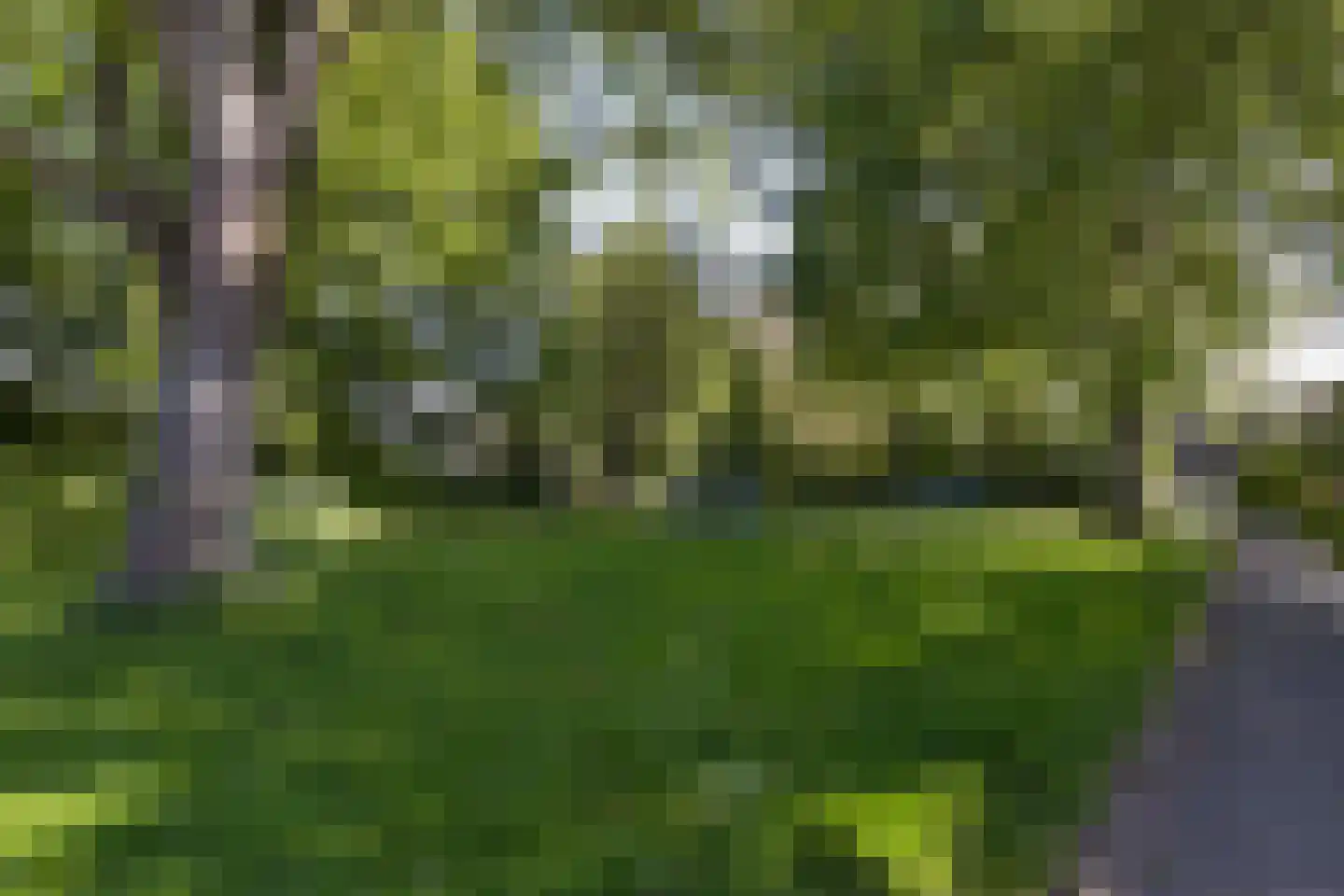Lijndraaier 127 Hoorn thumbnail 32