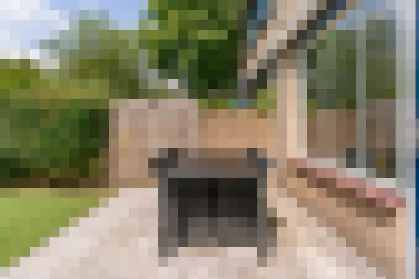 Lijndraaier 144 Hoorn thumbnail 41