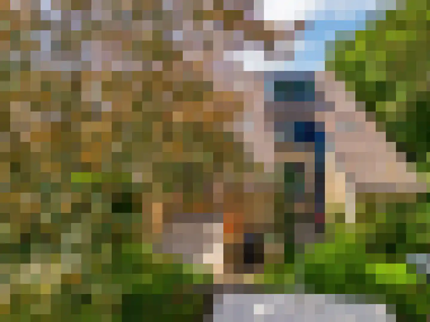 Lijndraaier 144 Hoorn thumbnail 52