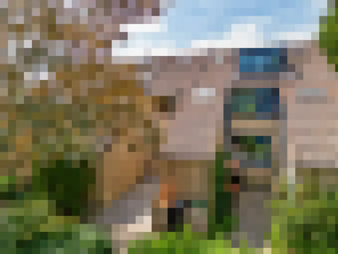 Lijndraaier 144 Hoorn thumbnail 53