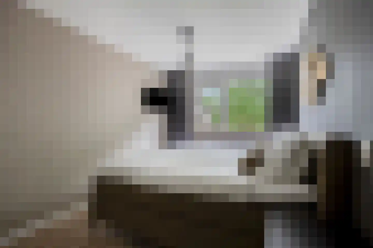 Lijndraaier 148 Hoorn thumbnail 16