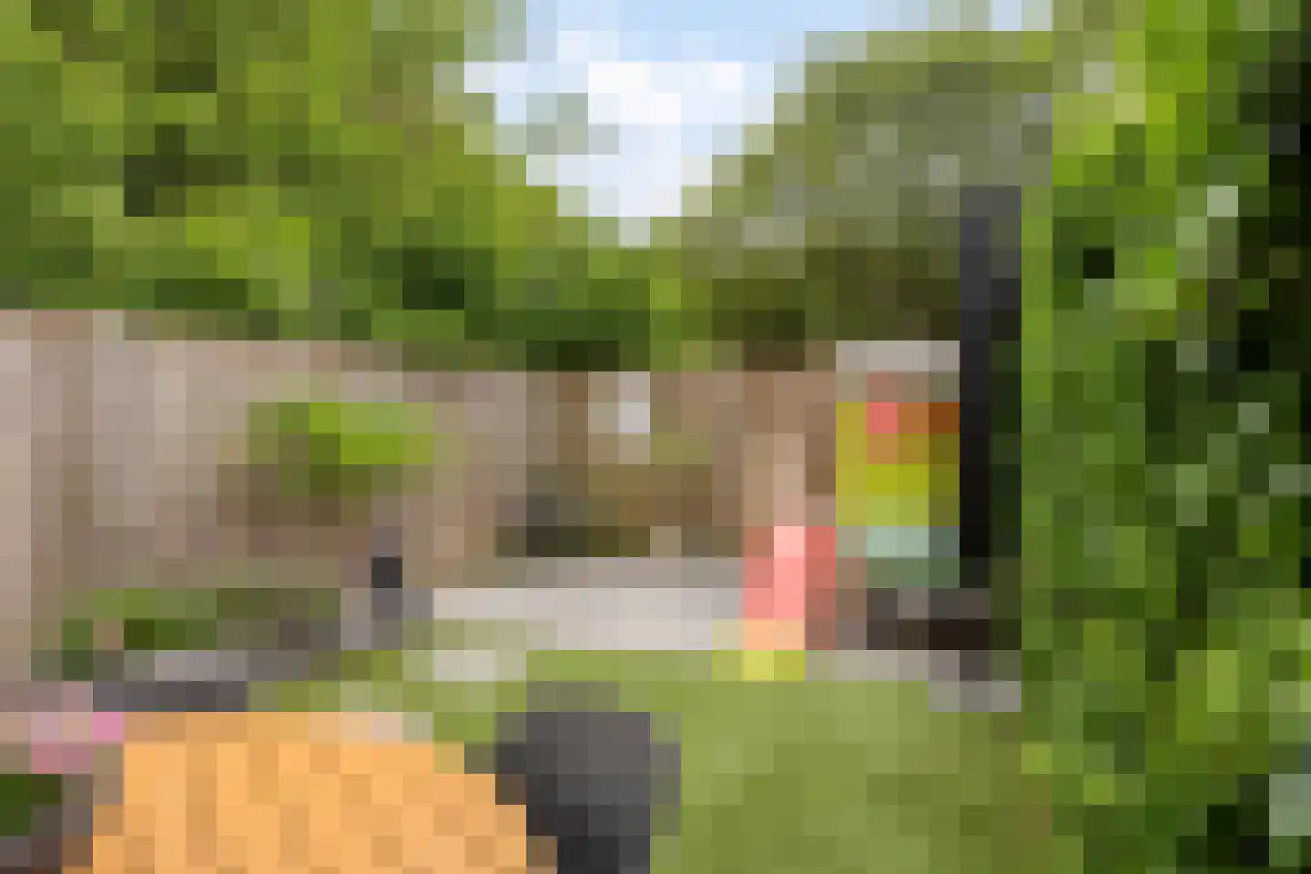 Lijndraaier 148 Hoorn thumbnail 29