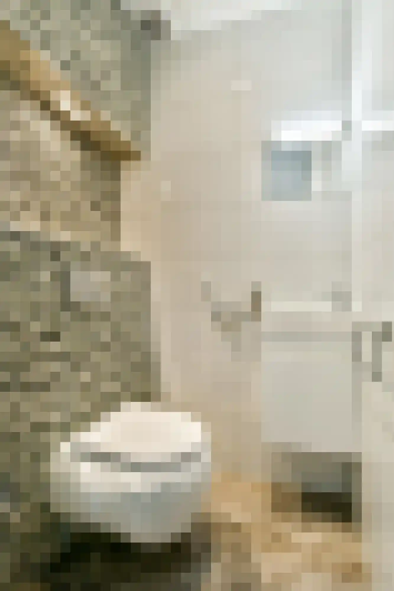 Lijndraaierhof 16 Aalsmeer thumbnail 14