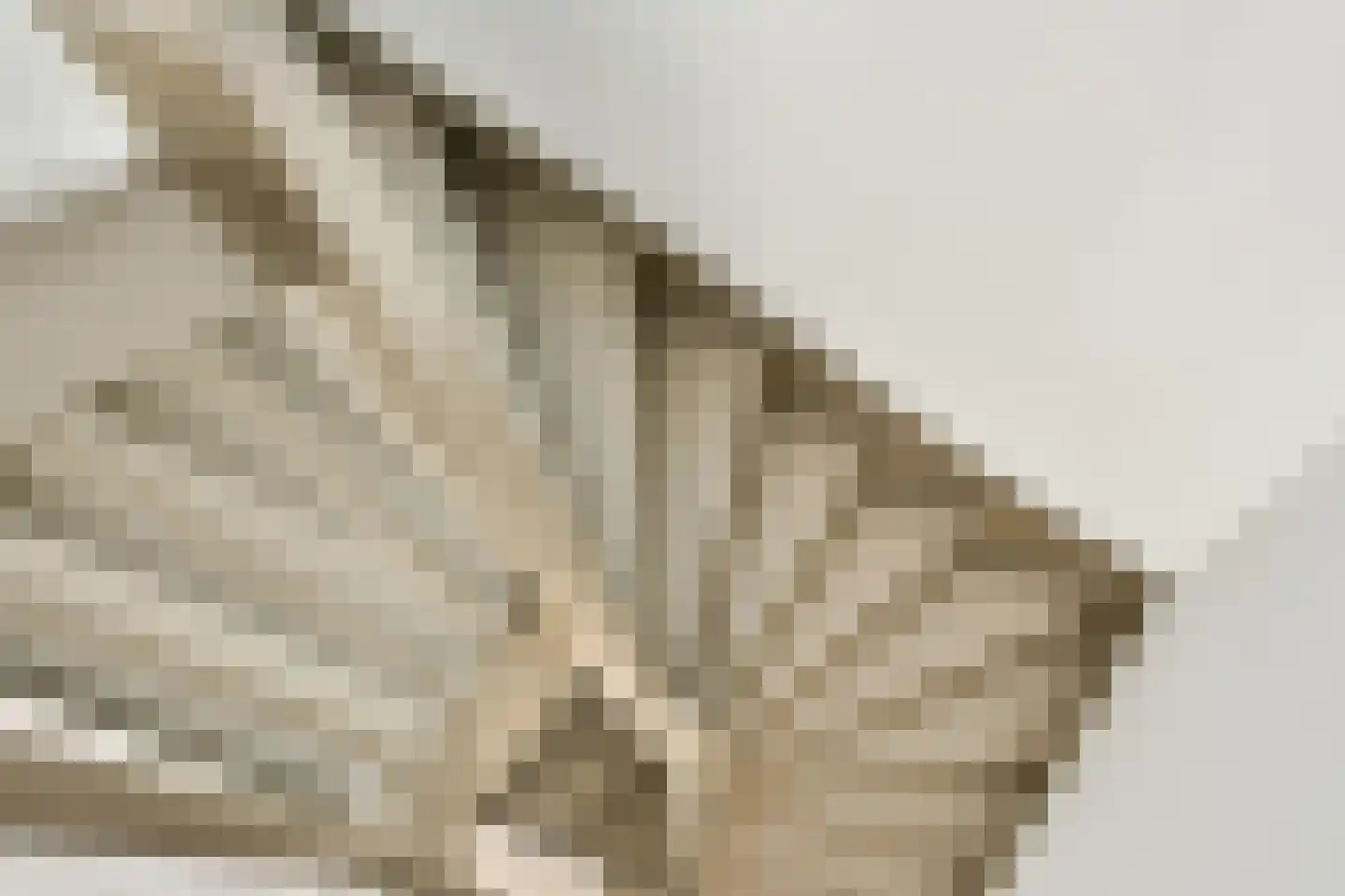 Lijndraaierhof 16 Aalsmeer thumbnail 24