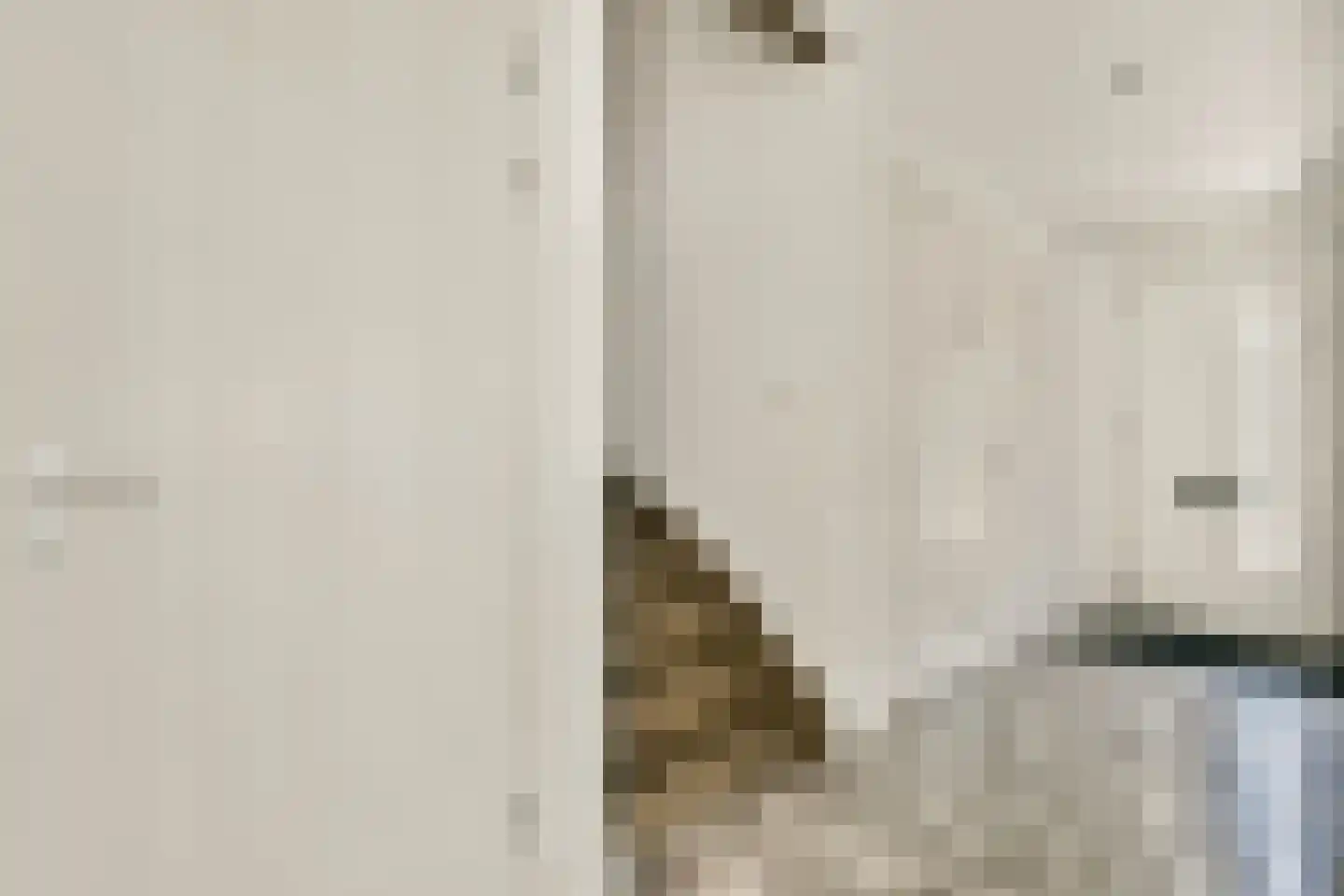 Lijndraaierhof 16 Aalsmeer thumbnail 4