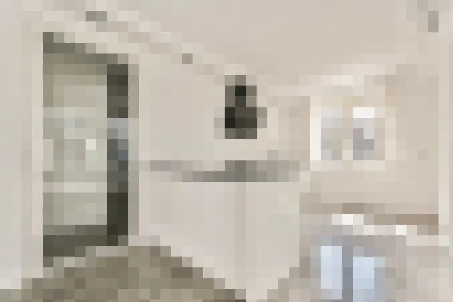 Lijndraaierhof 16 Aalsmeer thumbnail 8
