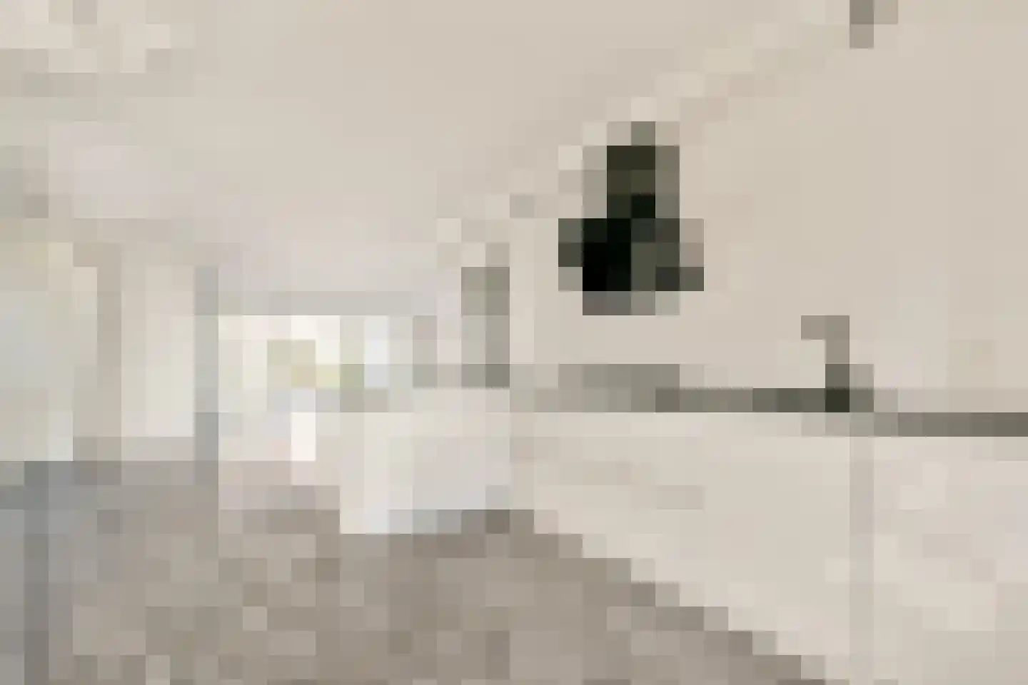 Lijndraaierhof 16 Aalsmeer thumbnail 9