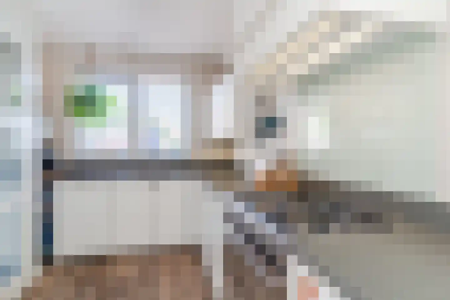 Lijndraaiersteeg 2 Geertruidenberg thumbnail 6