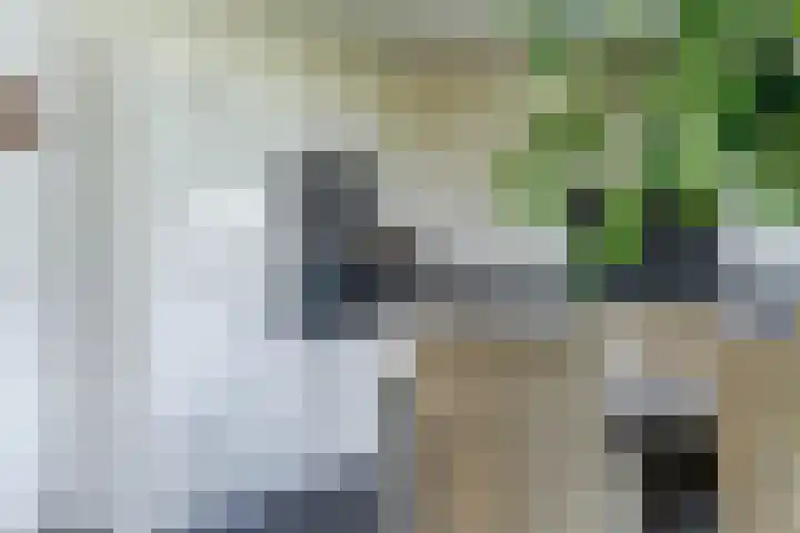 Lijnland 2 Vledder thumbnail 12