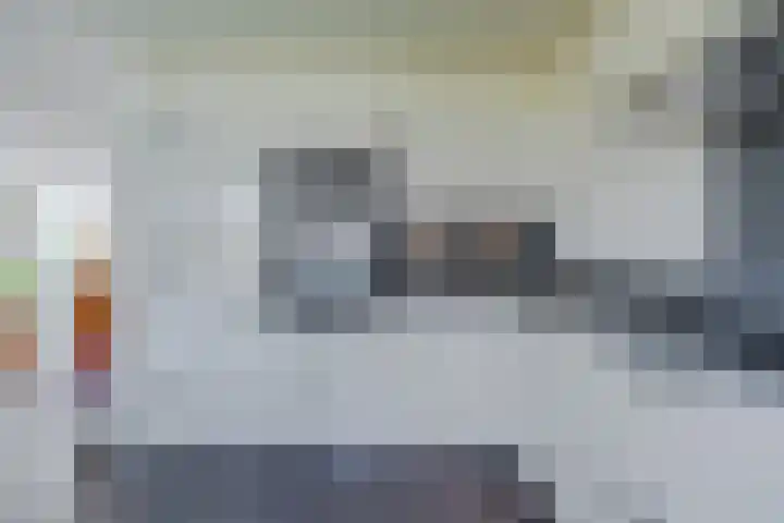 Lijnland 2 Vledder thumbnail 14