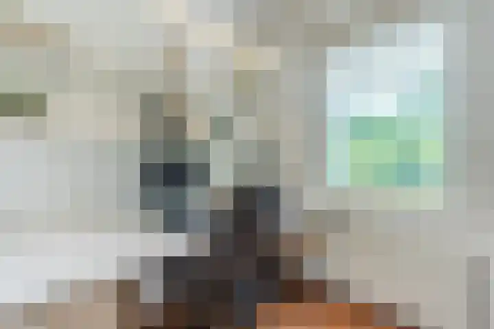 Lijnland 2 Vledder thumbnail 20