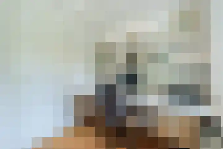 Lijnland 2 Vledder thumbnail 21