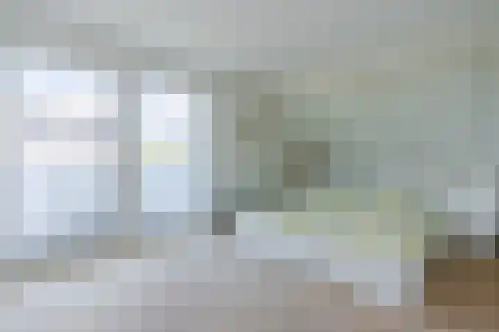 Lijnland 2 Vledder thumbnail 26