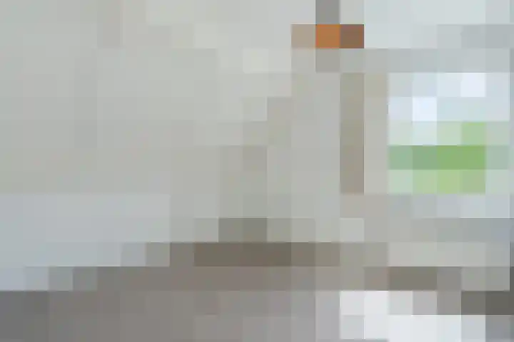 Lijnland 2 Vledder thumbnail 36