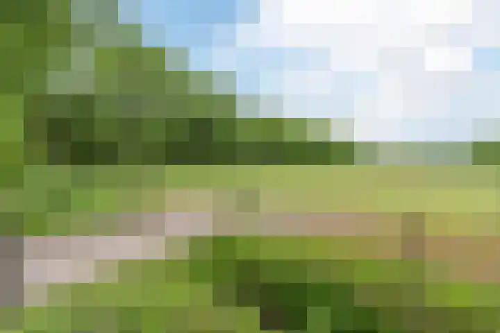 Lijnland 2 Vledder thumbnail 39