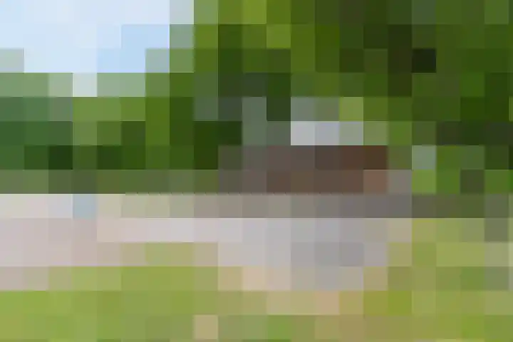 Lijnland 2 Vledder thumbnail 4