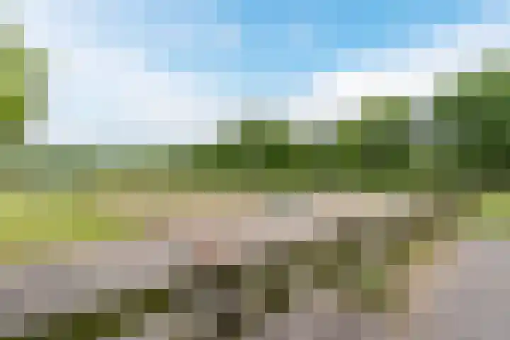 Lijnland 2 Vledder thumbnail 45