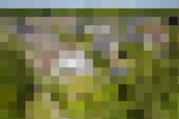 Lijnland 2 Vledder thumbnail 53