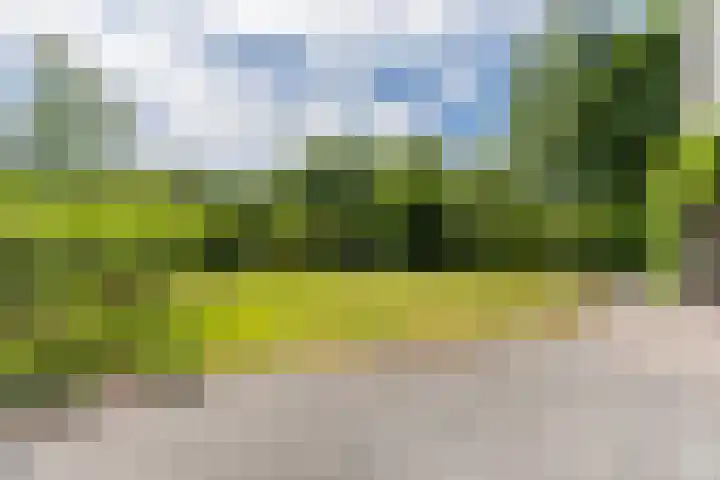 Lijnland 2 Vledder thumbnail 60