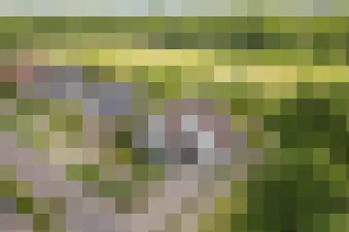 Lijnland 2 Vledder thumbnail 7