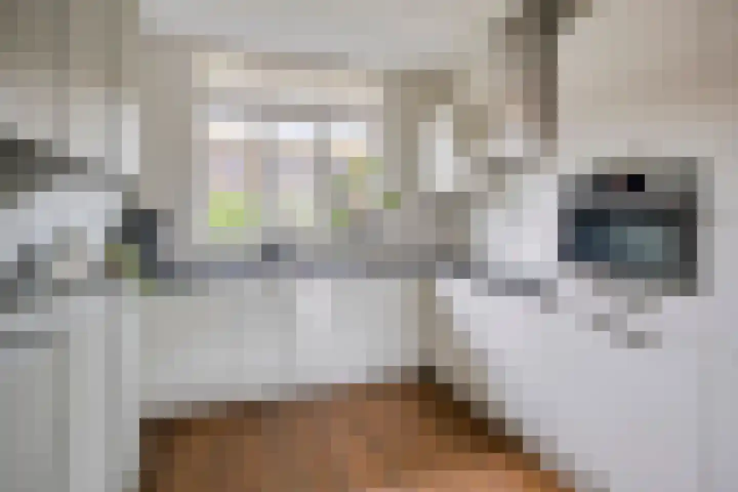 Lijnpad 27 IJsselmuiden thumbnail 18