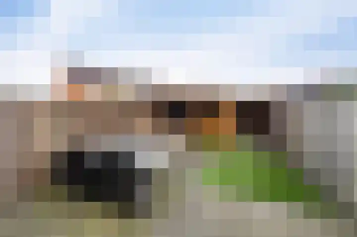 Lijnpad 45 IJsselmuiden thumbnail 23