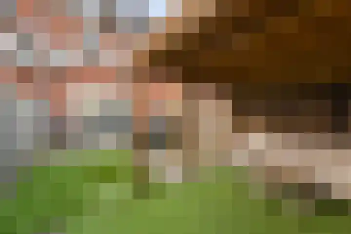 Lijnpad 45 IJsselmuiden thumbnail 6