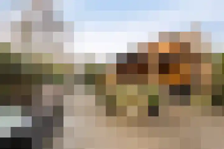 Lijnpad 52 IJsselmuiden thumbnail 24