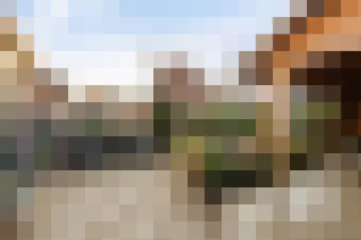 Lijnpad 52 IJsselmuiden thumbnail 26