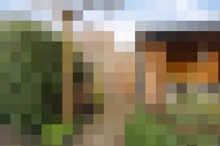Lijnpad 52 IJsselmuiden thumbnail 29