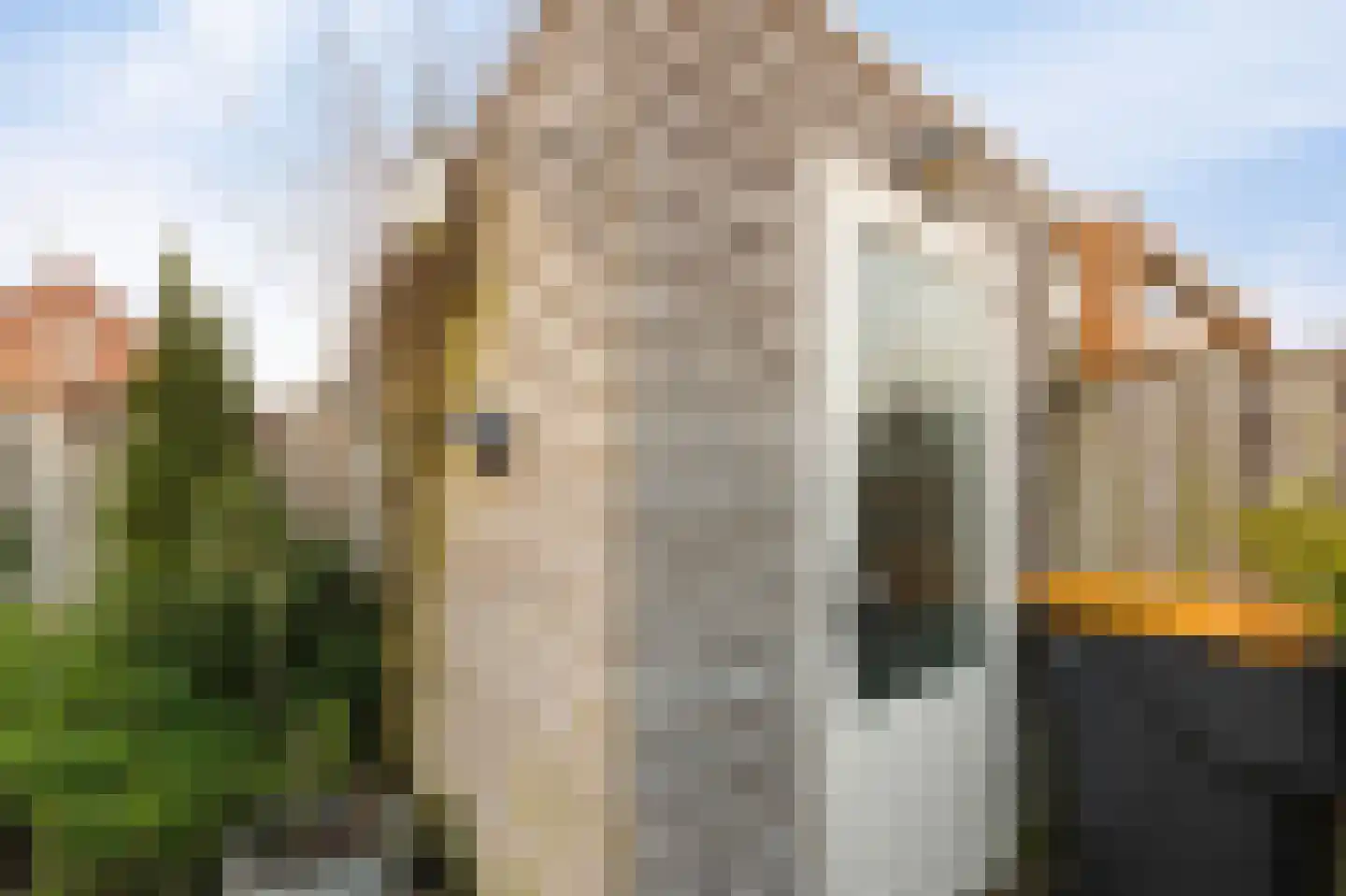 Lijnpad 52 IJsselmuiden thumbnail 32