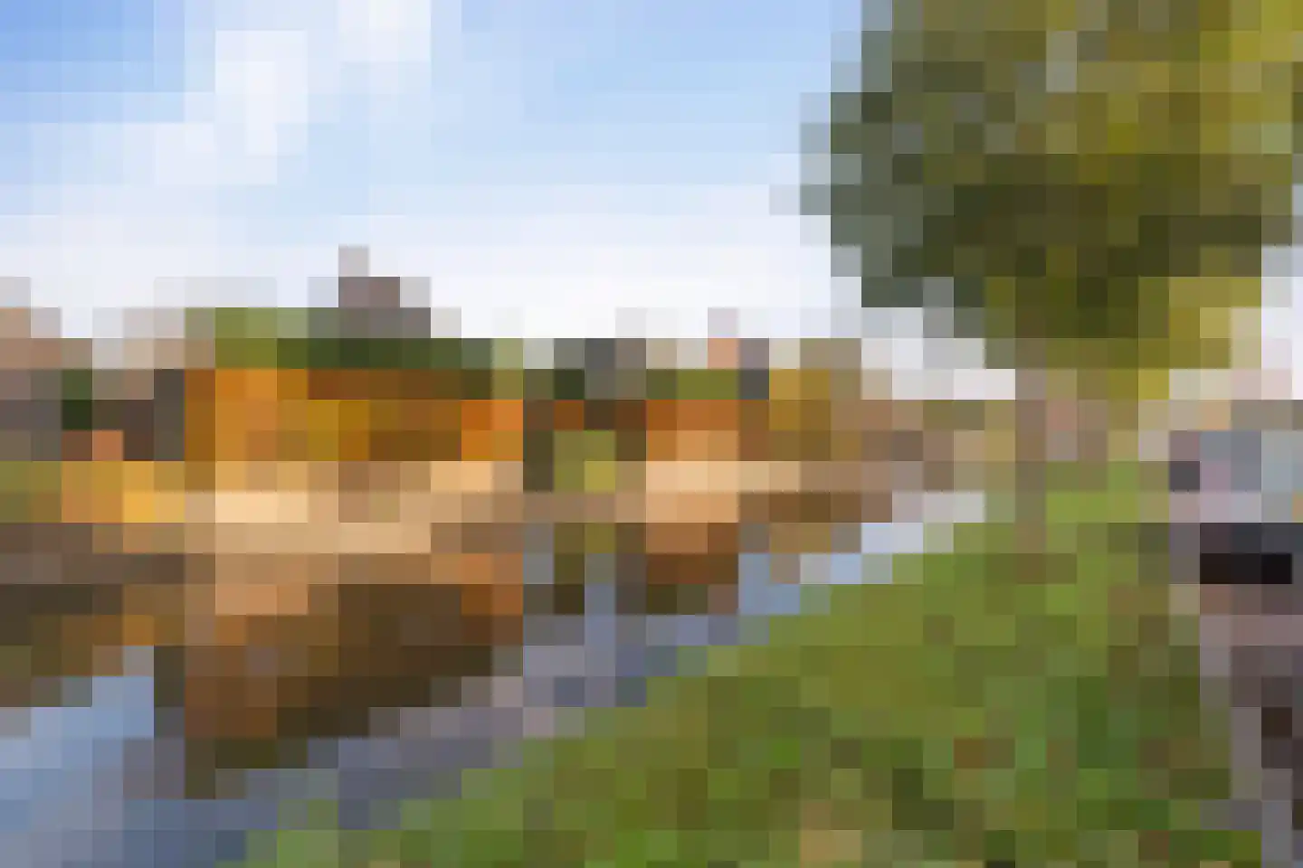 Lijnpad 52 IJsselmuiden thumbnail 61